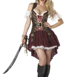 Sexy Swashbuckler Adult Costume
