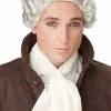 18th Century Peruke Costume Wig (Grey) 1 18th Century Peruke Costume Wig (Grey) -Purecostumes Store 70700 full 1