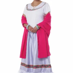 Mexican Folk Artist Adult Costume