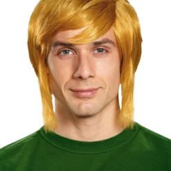 Link Adult Wig