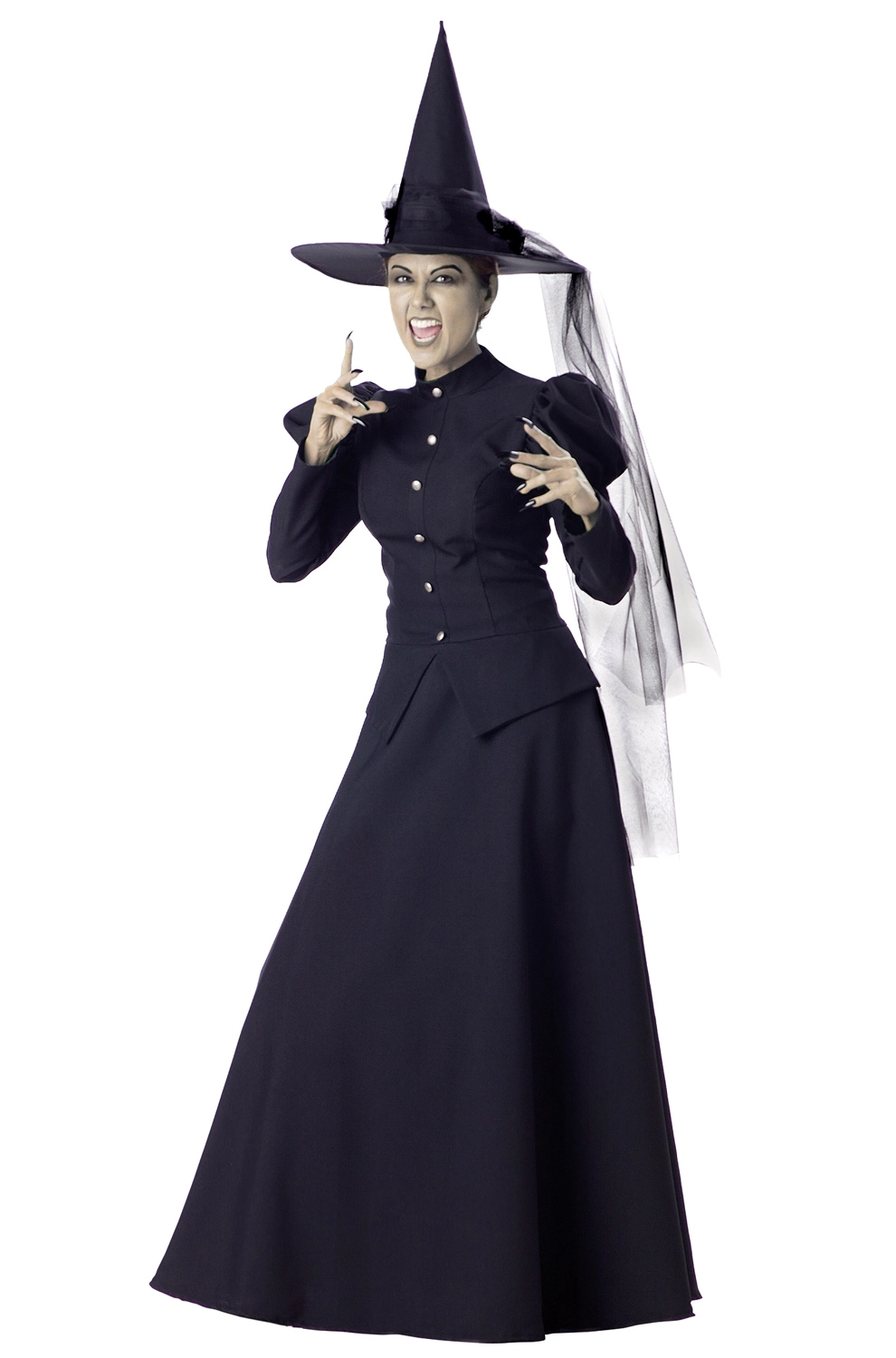 Wretched Witch Adult Costume 3 Wretched Witch Adult Costume