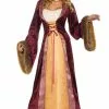 Milady Of The Castle Adult Costume