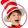 The Cat In The Hat Child Hat 1 The Cat In The Hat Child Hat -Purecostumes Store SP96946 full 1
