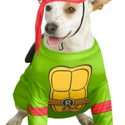 Raphael Pet Costume